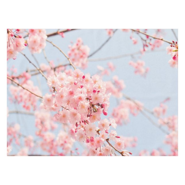 Cherry Blossom Blue Rose Lighthouse Route Deco Tischdecke (Vorderseite (Horizontal))