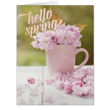 Cherry Blossom Blume Floral Stillleben Frühlingste