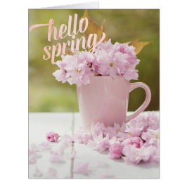 Cherry Blossom Blume Floral Stillleben Frühlingste