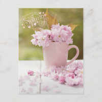 Cherry Blossom Blume Floral Stillleben Frühlingste