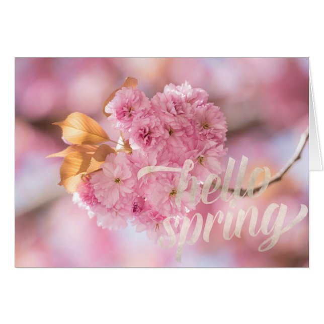Cherry Blossom Branch Spring Text (Vorderseite (Horizontal))