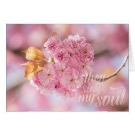 Cherry Blossom Branch Spring Text