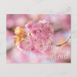 Cherry Blossom Branch Spring Text Postkarte