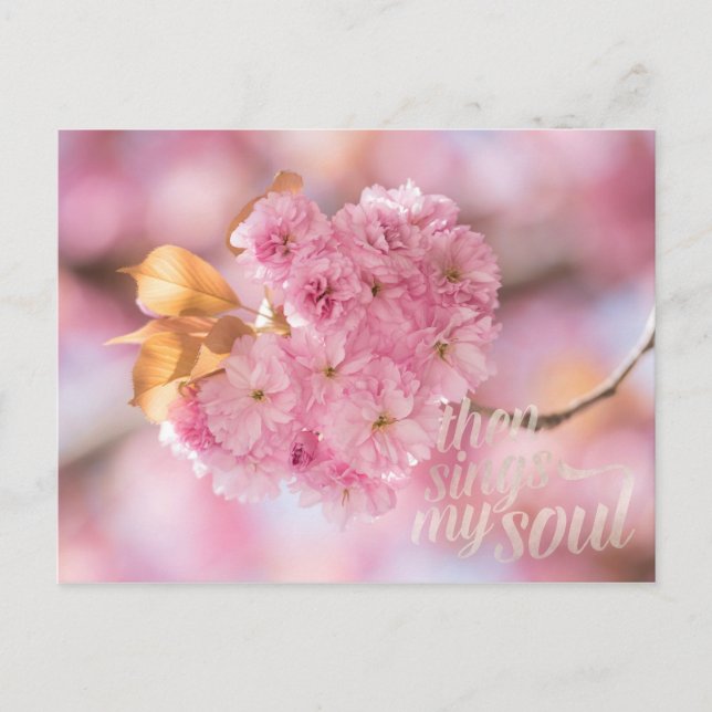Cherry Blossom Branch Spring Text Postkarte (Vorderseite)