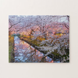 Cherry blossom canal
