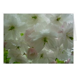 Cherry Blossom Card Weiße Blossom-Karte Persönlich