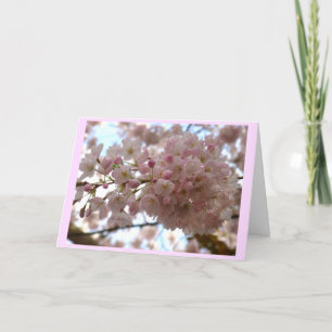 Cherry Blossom Card Weiße Blossom-Karte Persönlich Feiertagskarte