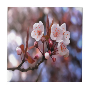 Cherry Blossom Cluster mit rosa und blau Fliese