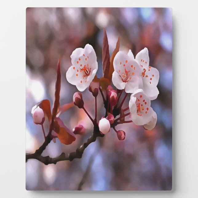 Cherry Blossom Cluster mit rosa und blau Fotoplatte (Vorderseite)