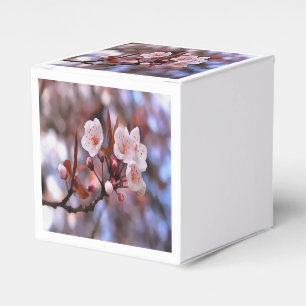 Cherry Blossom Cluster mit rosa und blau Geschenkschachtel