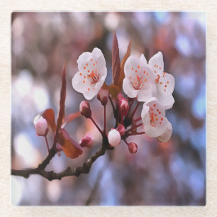 Cherry Blossom Cluster mit rosa und blau Glasuntersetzer
