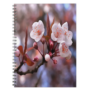 Cherry Blossom Cluster mit rosa und blau Notizblock