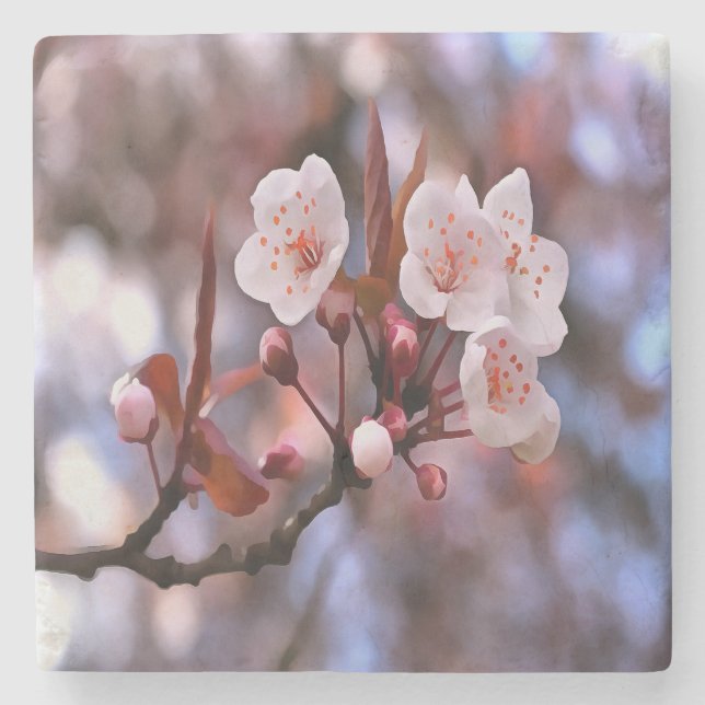 Cherry Blossom Cluster mit rosa und blau Steinuntersetzer (Vorderseite)
