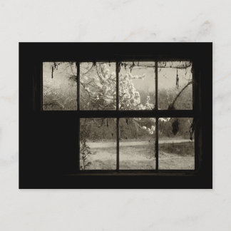 Cherry Blossom durch eine alte Barn-Fenster-Postka Postkarte