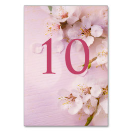 Cherry Blossom Elegante Tischnummern für Hochzeite