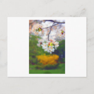 Cherry Blossom Fantasy Postkarte