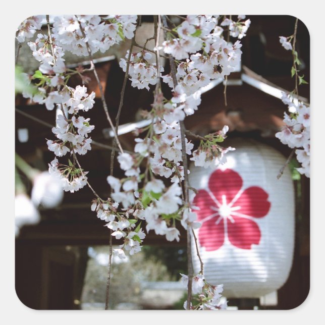 Cherry Blossom Festival in Kyoto Quadratischer Aufkleber (Vorderseite)