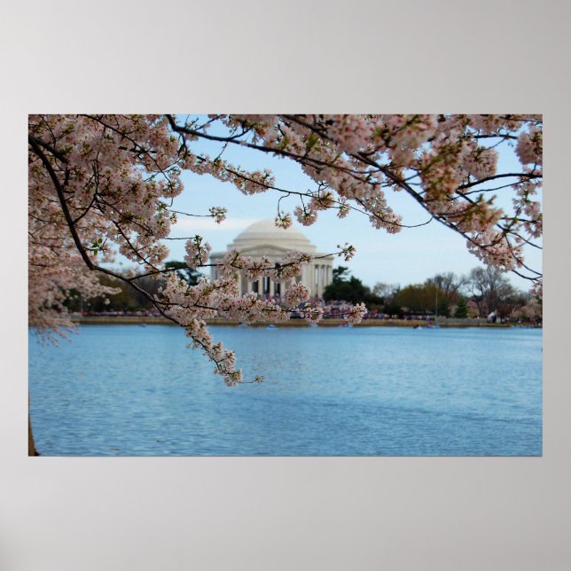 Cherry Blossom Festival & Jefferson Memorial Poster (Vorne)