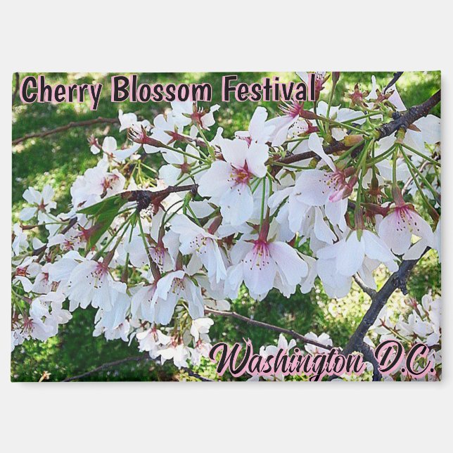 Cherry Blossom Festival Washington D.C. Magnet (Vorderseite)