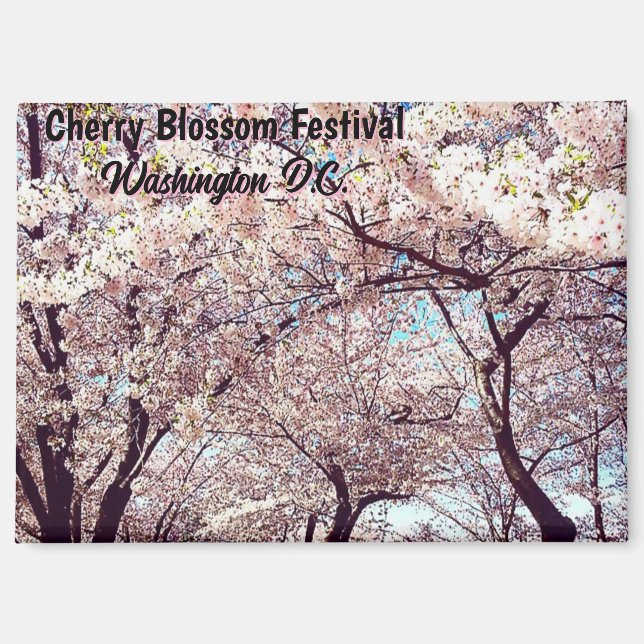  Cherry Blossom Festival Washington D.C Souvenir Magnet (Vorderseite)
