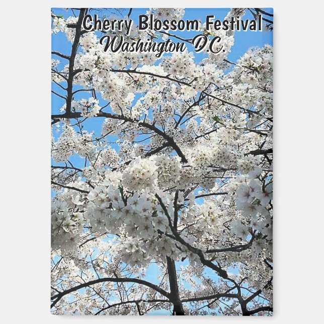 Cherry Blossom Festival Washington D.C. Souvenir Magnet (Vorderseite)