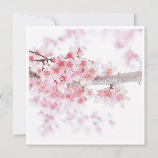 CHERRY BLOSSOM FLORAL FLAT CARD (Vorderseite)