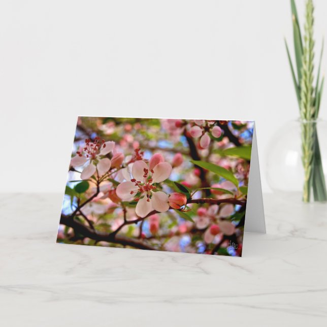 Cherry Blossom [Grußkarte] Karte (Vorderseite)