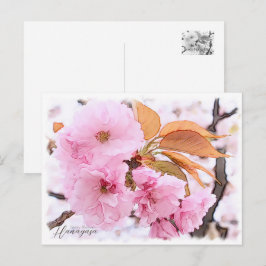 Cherry Blossom "Hanagasa" Postkarte