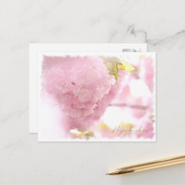 Cherry Blossom "Hayashi-ichigo" ポストカード Postkarte