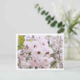 Cherry Blossom "Ichiyo" Postkarte