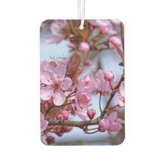 Cherry Blossom Japanisch Autolufterfrischer
