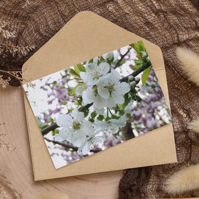 Cherry Blossom Karte (Von Creator hochgeladen)