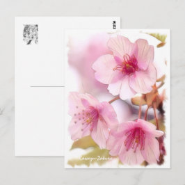 Cherry blossom: Kawazu-Zakura ポストカード Postkarte
