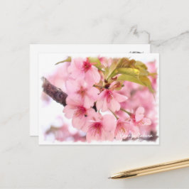 Cherry blossom: Kawazu-Zakura ポストカード Postkarte