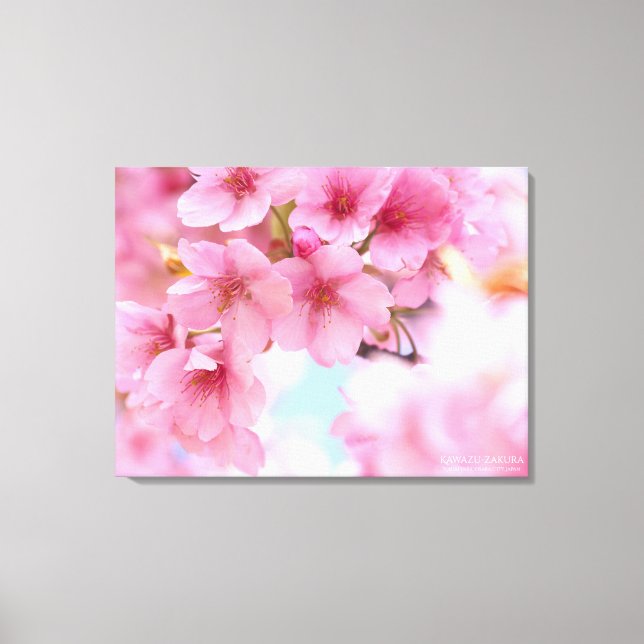 Cherry blossom"Kawazu-zakura"：Premium Canvas Leinwanddruck (Vorderseite)
