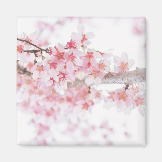 CHERRY BLOSSOM KÜHLSCHRANKMAGNET (Vorne)