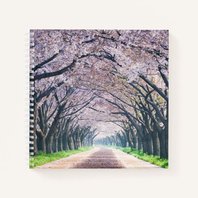 Cherry Blossom Lane Notizbuch (Vorderseite)