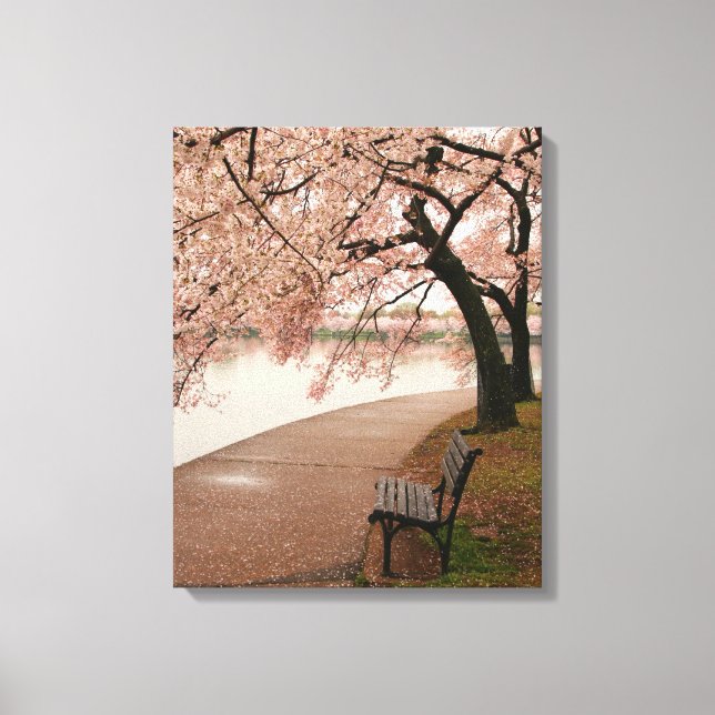 Cherry Blossom Leinwand (Vorderseite)