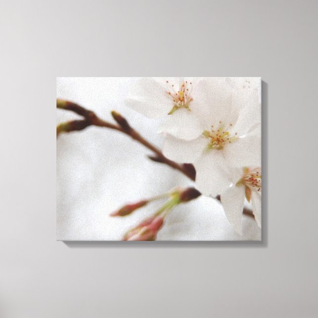 Cherry Blossom Leinwand Art (Vorderseite)