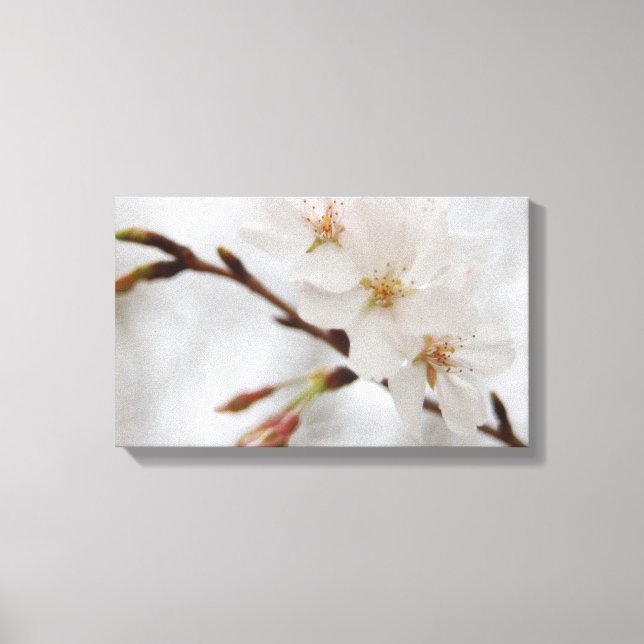 Cherry Blossom Leinwand Art (Vorderseite)