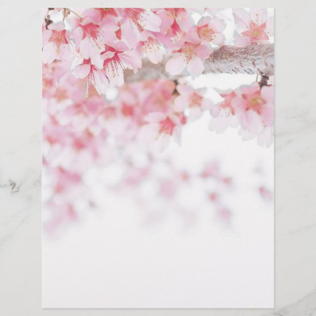 CHERRY BLOSSOM LETTERHEAD BRIEFBOGEN (Vorderseite)
