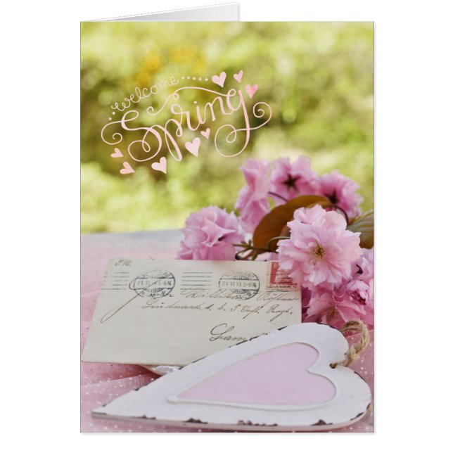 Cherry Blossom Loveletter Spring Text (Vorne)