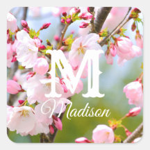 Cherry Blossom Nah
