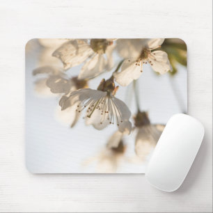 Cherry Blossom Nature Foto Mousepad