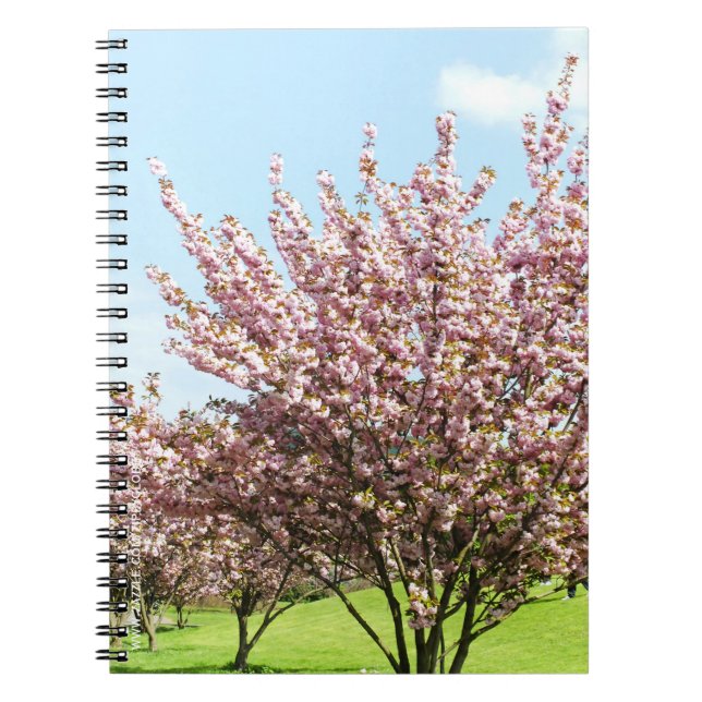Cherry Blossom Notizblock (Vorderseite)