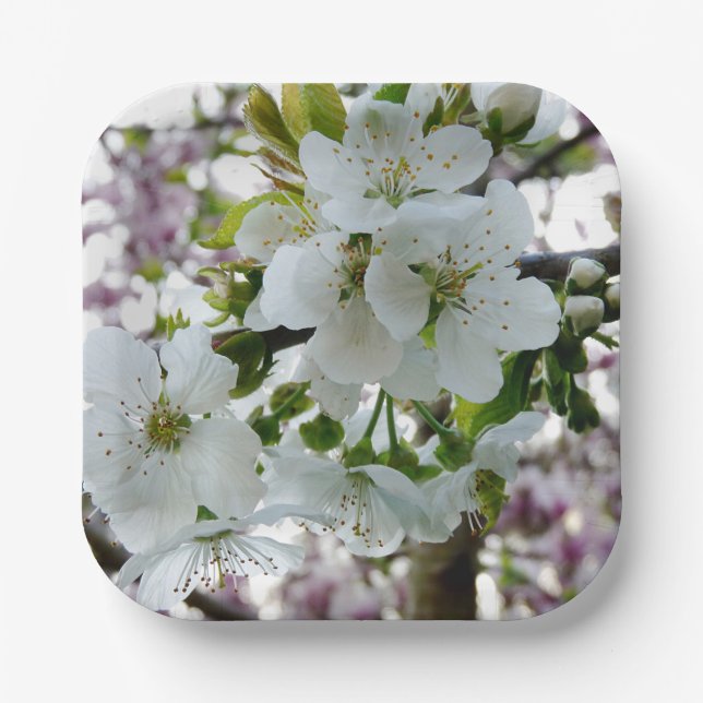 Cherry Blossom Pappteller (Vorderseite)
