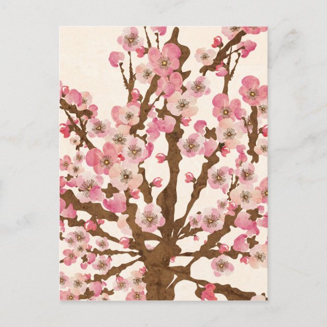 Cherry blossom Postcard Postkarte (Vorderseite)