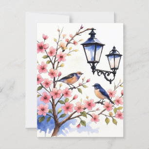 Cherry Blossom Postkarte