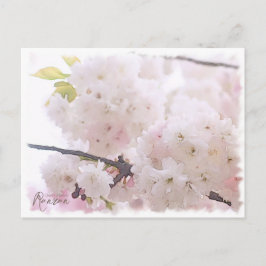 Cherry Blossom "Ranran" ポストカード Postkarte
