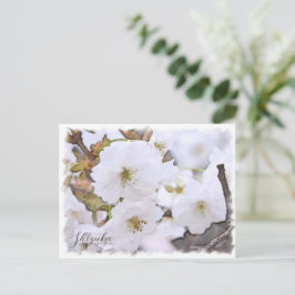 Cherry Blossom "Shizuka" Postkarte